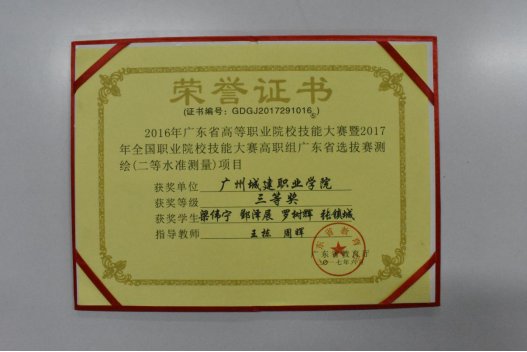 项目名称